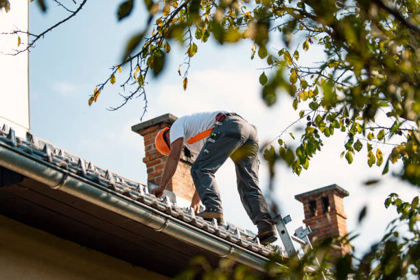 Best Roof Waterproofing  in Wacousta, MI