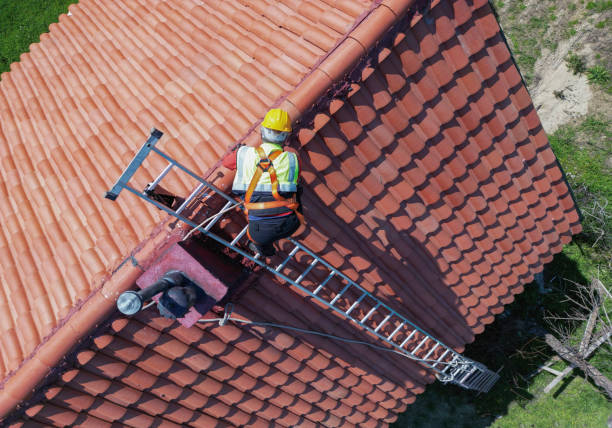 Professional Roofing in Wacousta, MI