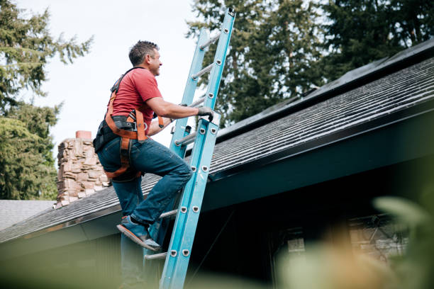 Best Green or Eco-Friendly Roofing Solutions  in Wacousta, MI
