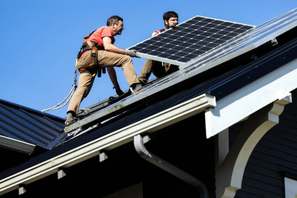 Best Roof Moss and Algae Removal  in Wacousta, MI